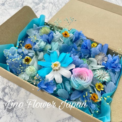 カシワバアジサイFlowerBox⑩