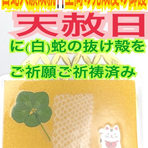 招き白猫✨来福招福✨５つ葉✨右手✨蛇の脱け殻✨金運✨財運✨恋愛✨仕事運✨開運✨子宝✨白蛇の抜け殻✨メモリーオイル使用✨白蛇のお守り【天赦日ご祈祷済】