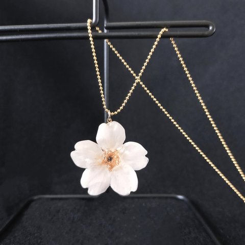 【受注制作】Everpink. こだわりの花びらで仕上げた本物の桜のネックレス/ロングネックレス/ペンダント チェーン