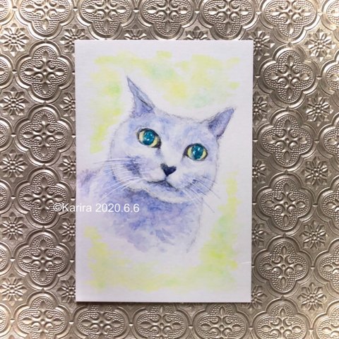 《原画》微笑む猫🐈🍀