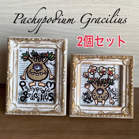 フレーム付き★イラスト★2個セット商品★パキポディウムグラキリス