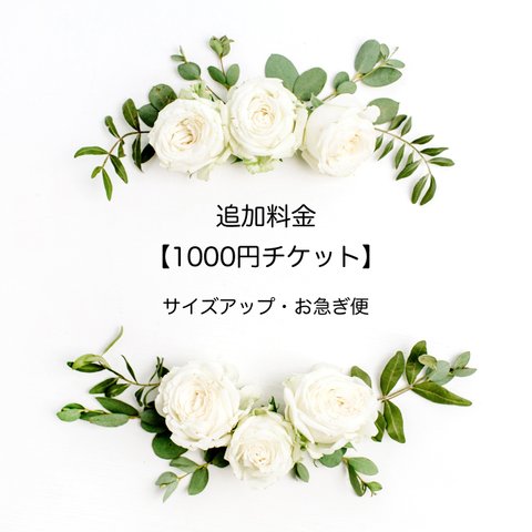 【追加料金】1000円チケット