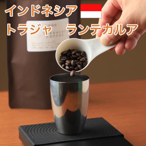 自家焙煎コーヒー（インドネシア　トラジャ　ランテカルア）