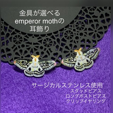 金具が選べるEmperor mothの耳飾り　再販　サージカルステンレス