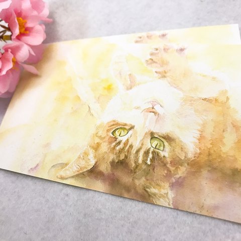 猫 水彩画ポストカード 「浜辺にて」
