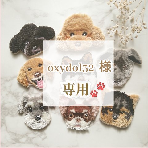 oxydol32様専用