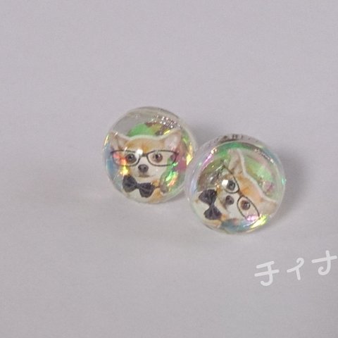 チワワ 一粒ピアス