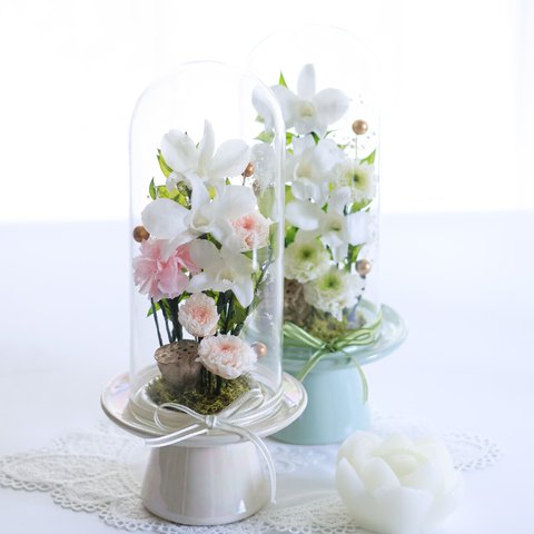 「きよらL」 かわいいお供え花【お供え花・仏花】 白を基調にしたかわいい菊が特徴のガラスドーム（サイズ展開S・M・L）