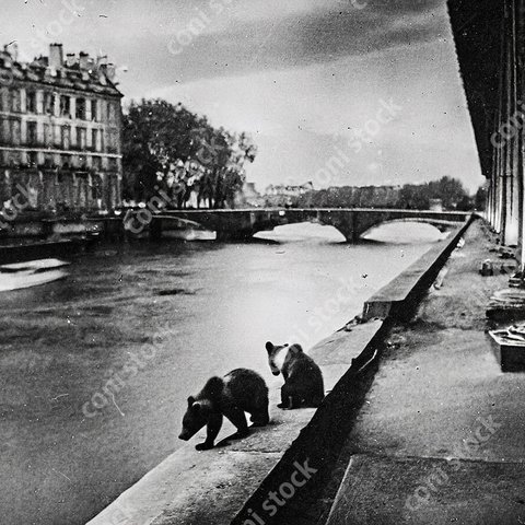 パリのセーヌ川のイメージ、子熊、レトロ風写真、アート、古い写真　conistock_31910_03