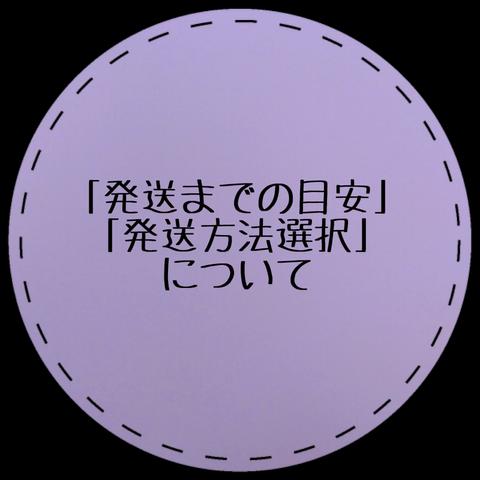 ご購入前に一読ください⟡.·*.