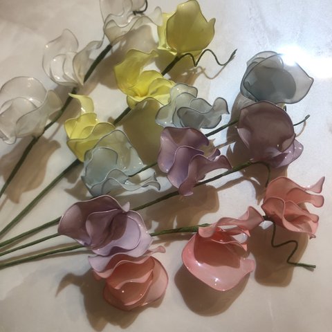 🌸恋花🌸   スイトビー5本セット