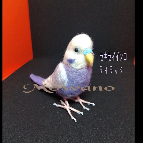 セキセイインコ　ライラック◆紫　★羊毛フェルト