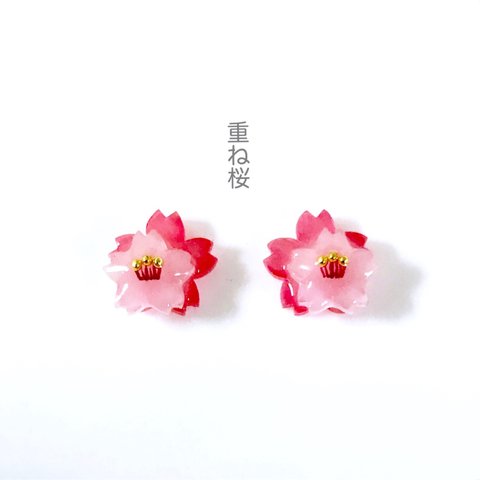 再販《特集掲載》和 重ね桜 ピアス／イヤリング