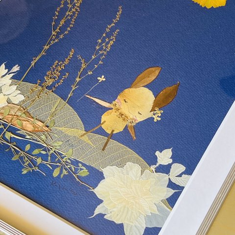 押し花　額　金子みすゞカレンダー（春陽堂刊）挿絵「星とたんぽぽ」