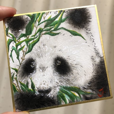 水彩画原画　パンダ　panda