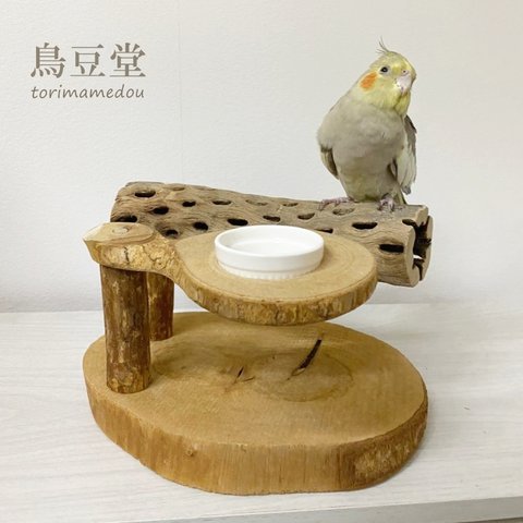 【展示用】カクタスボーンのスタンドパーチ（おやつ入れ付き）バードジム　バードアスレチック　インコ　鳥　とまり木