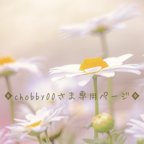 ◆chobby00さま専用ページ◆