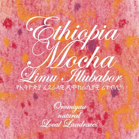 【中煎/200g】エチオピア モカ リム・イルバボール