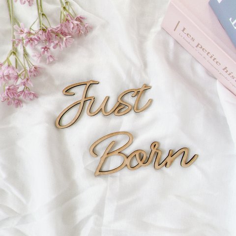 New‼️【送料無料】手のひらサイズ　木製　justborn レターバナー　Ｂタイプ