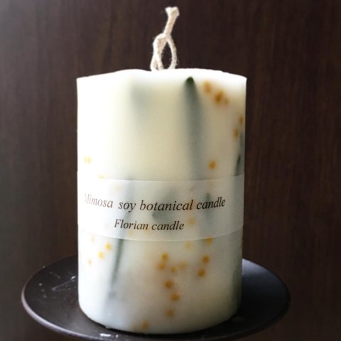 Mimosa soy botanical candle 