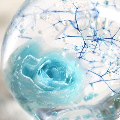 blue rose