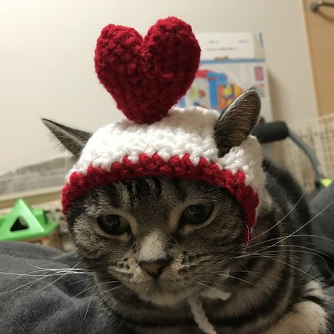再販！猫用帽子 バレンタイン２
