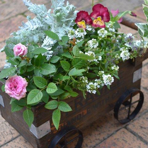 花車の寄せ植え