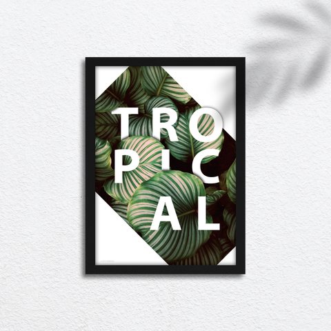 A3ポスター "TROPICAL"　