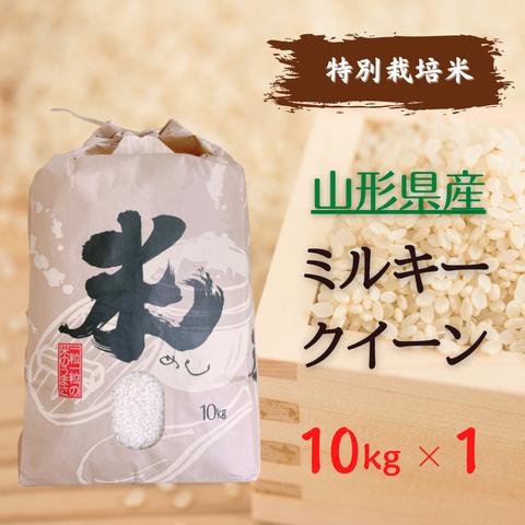 【減農薬特別栽培米】山形県産ミルキークイーン 白米10kg（一等米）送料無料