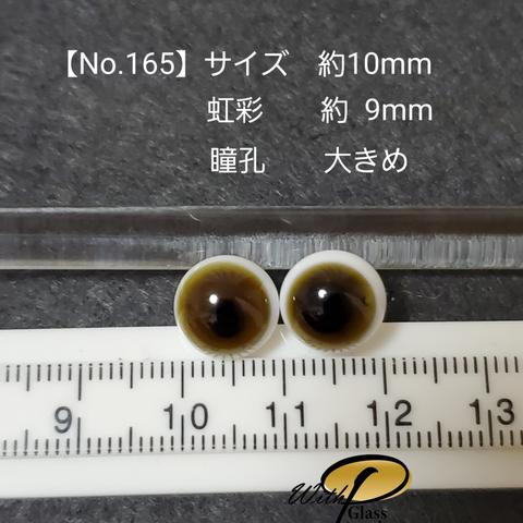 【No.165】グラスアイ(約 10mmサイズ(虹彩 約 9mm/瞳孔あり))