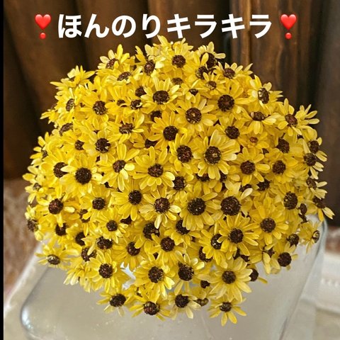 ほんのりキラキラ❣️向日葵🌻スターフラワーミニアレンジ加工30輪販売❣️ハンドメイド花材カラードライフラワー