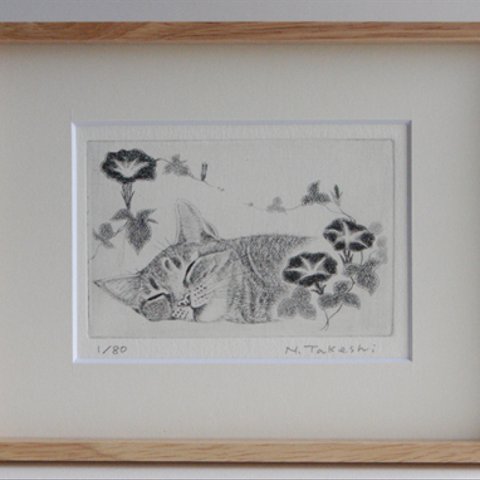 朝顔とお昼寝の猫/ 銅版画 (額あり） 