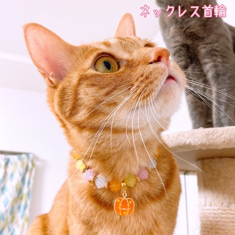 猫の首輪🐈カラフル金平糖ビーズ🍬ネックレス首輪✨ハロウィン🎃カボチャチャーム💜