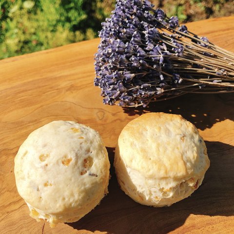 lavender honey lemonade scone🍋（2袋セット）