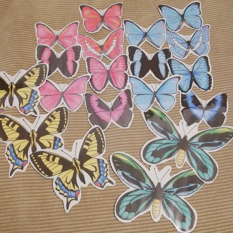 蝶々の壁飾り
