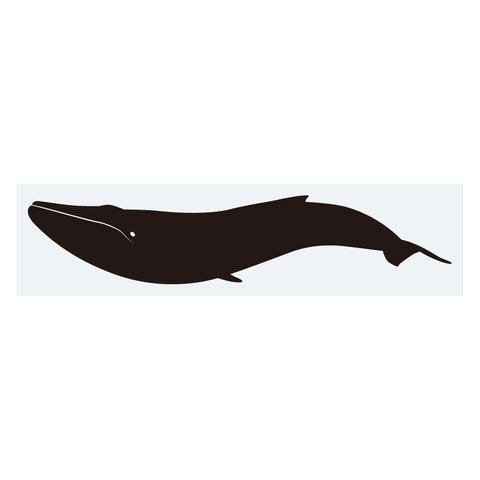 ステッカー　シロナガスクジラ