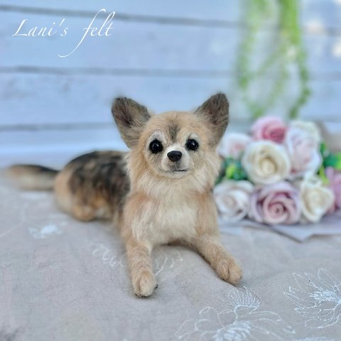 オーダー　犬♡チワワ　♡うちの子をずっとそばに♡世界でたったひとつ　♡メモリアル