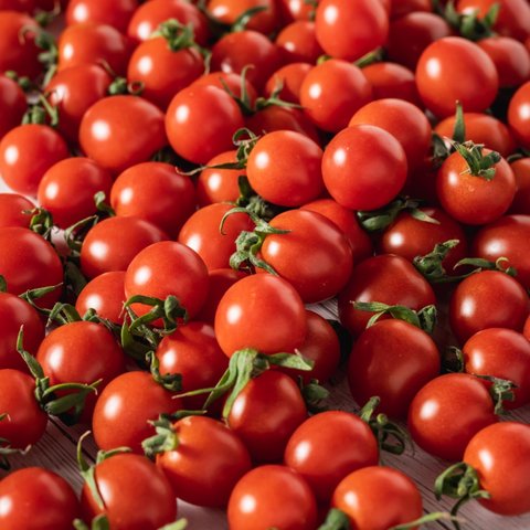 プチッと弾ける果汁🍅特別栽培「宮トマト」１㎏　