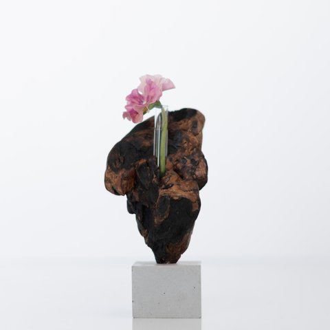 世界にたったひとつあなただけの流木一輪挿し | driftwood flowervase | tane no.1