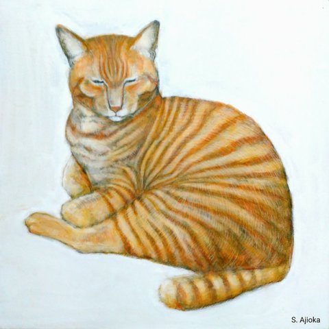 Tabby Cat at rest 安らぐ虎猫　真作　アクリル、色鉛筆絵画