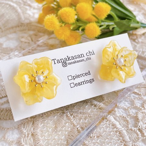 【イエロー】Tanakasan chiのお花畑❁⃘*.ﾟ