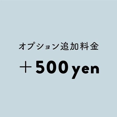 オプション追加料金 ＋500円