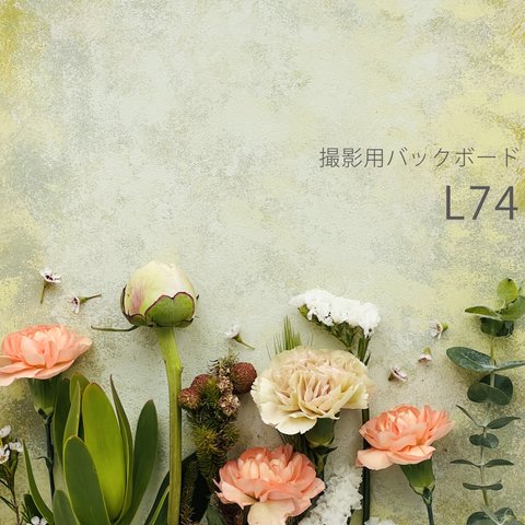 L74 撮影用背景 バックボード ライトグリーン系 30×45cm ldll