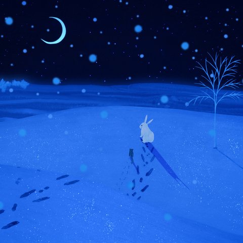 《雪をみたヤマネ》アニメーションDVD