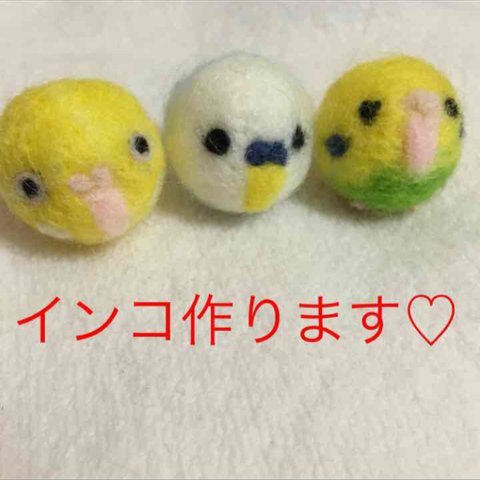 コロコロインコ