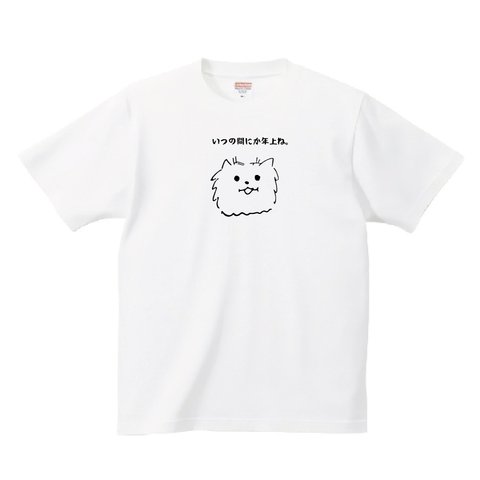 ポメラニアンtシャツ シュール 「Shinya Yamamoto」おもしろい 犬 名言 ひとこと ギャグ 面白い 笑える 爆笑 余興【いつの間にか歳上ね】tシャツ