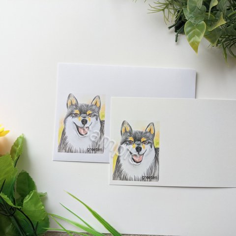 メッセージカードと封筒セット　犬グッズ イラスト 犬封筒　柴犬　柴犬グッズ　黒柴