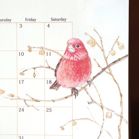 野鳥のカレンダー 2020 (卓上版)