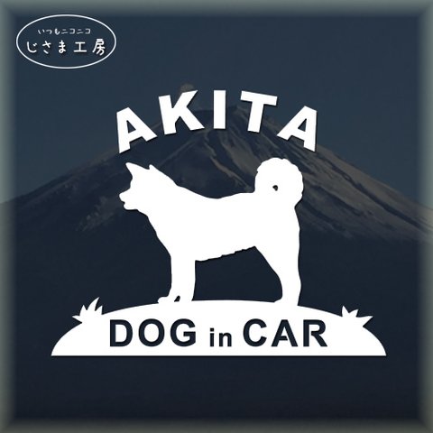 秋田犬の白色ステッカードッグインカ―（色変更可です）