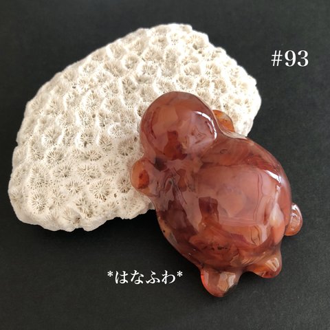 *橙亀#93（カーネリアン）